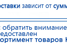 СКЭНАР-1-НТ (исполнение 01)  купить в Чебоксаре, Аппараты Скэнар купить в Чебоксаре, Скэнар официальный сайт - denasvertebra.ru
